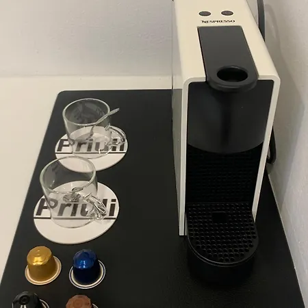 普列里豪华客房酒店 招待所 4*